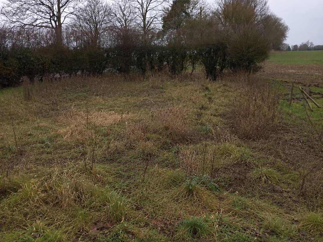 An overgrown, uncleared plot before groundworks began